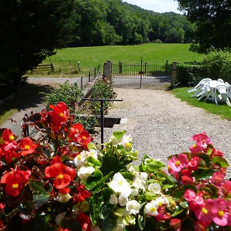 Gite Le Moulin Pres De Tarbes, Lourdes, Bagneres De Bigorre Mascaras Exterior foto